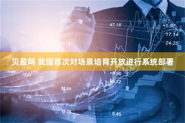 贝盈网 我国首次对场景培育开放进行系统部署