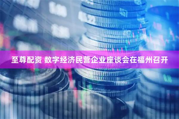 至尊配资 数字经济民营企业座谈会在福州召开