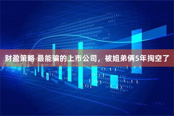 财盈策略 最能骗的上市公司，被姐弟俩5年掏空了