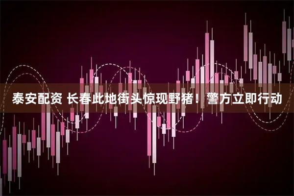 泰安配资 长春此地街头惊现野猪！警方立即行动