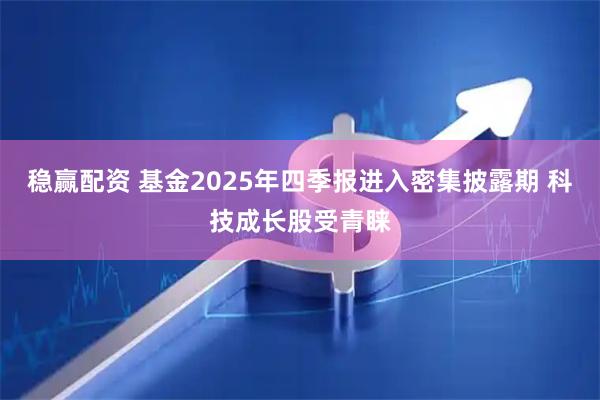 稳赢配资 基金2025年四季报进入密集披露期 科技成长股受青睐