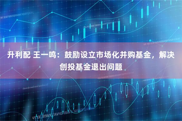 升利配 王一鸣：鼓励设立市场化并购基金，解决创投基金退出问题